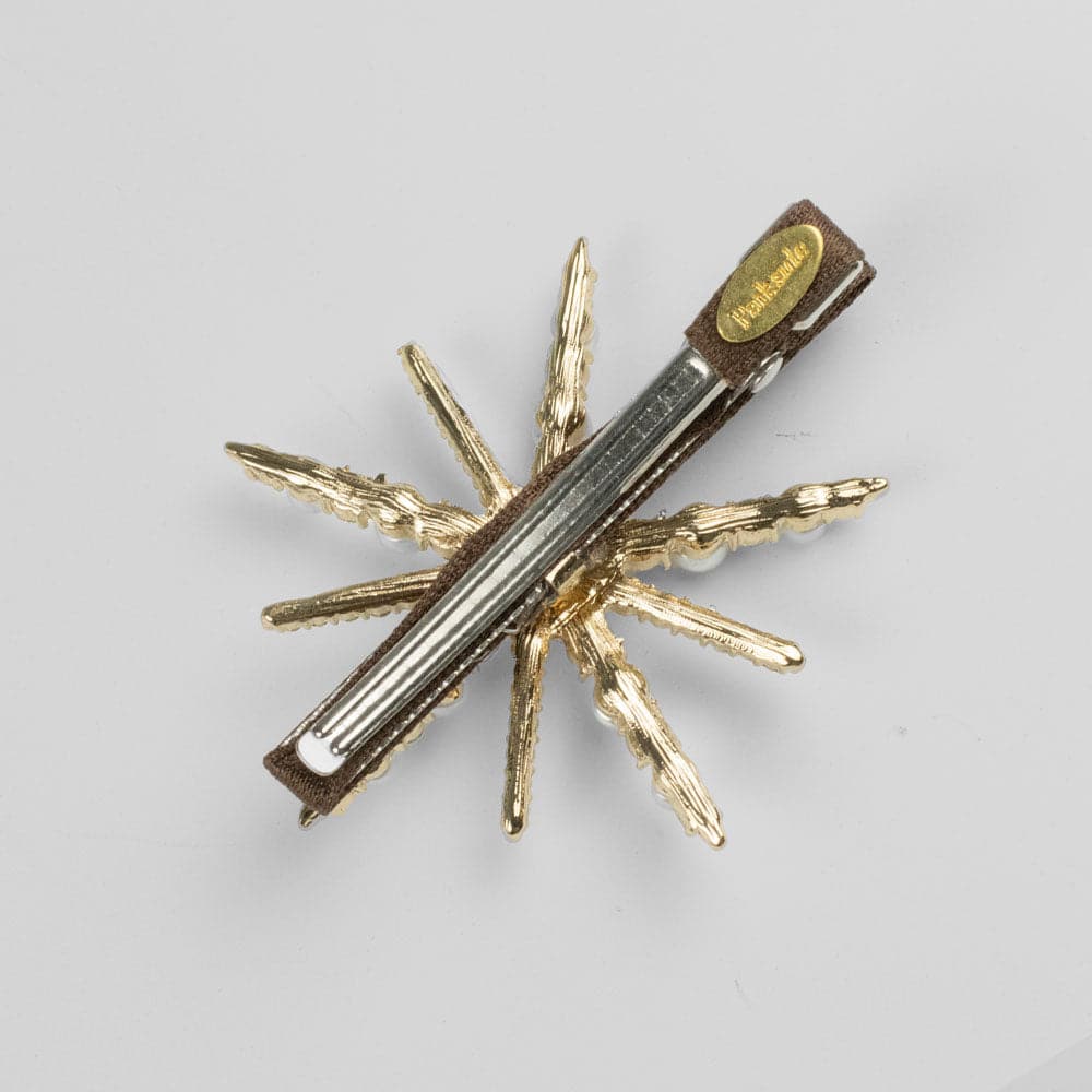 Crystal & Pearl Starburst Beak Clip